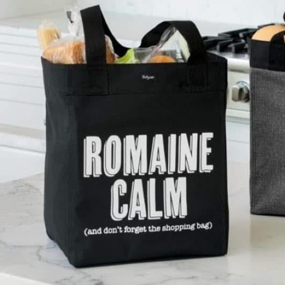 thirty-one Handbags - Thirty-One Essential Storage Tote